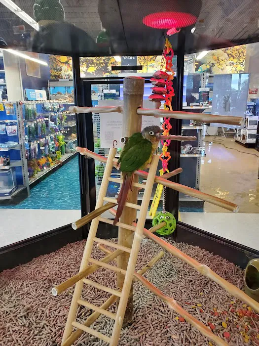 Petco 2