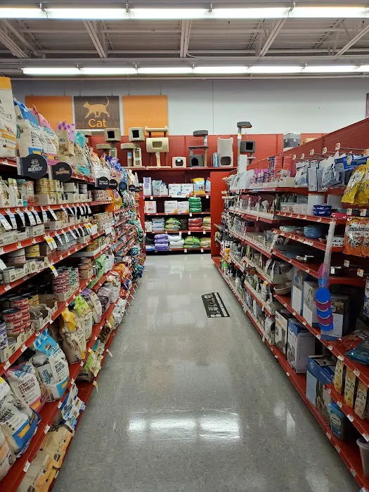 Petco 3
