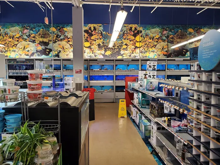 Petco 6