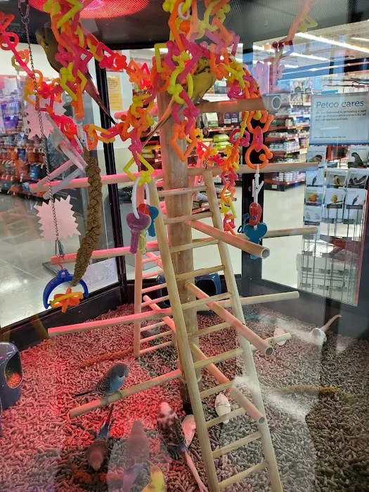 Petco 4