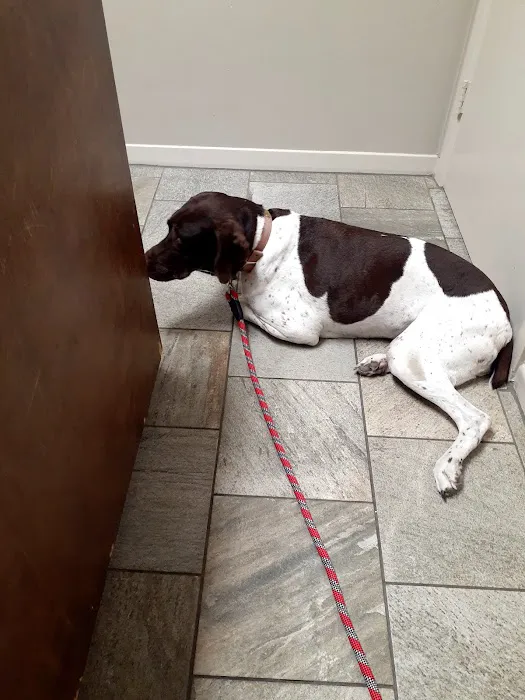 Grant Road Animal Clinic 12