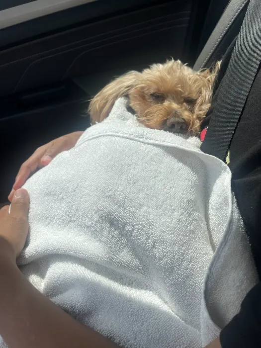 Pet Check-Up 12