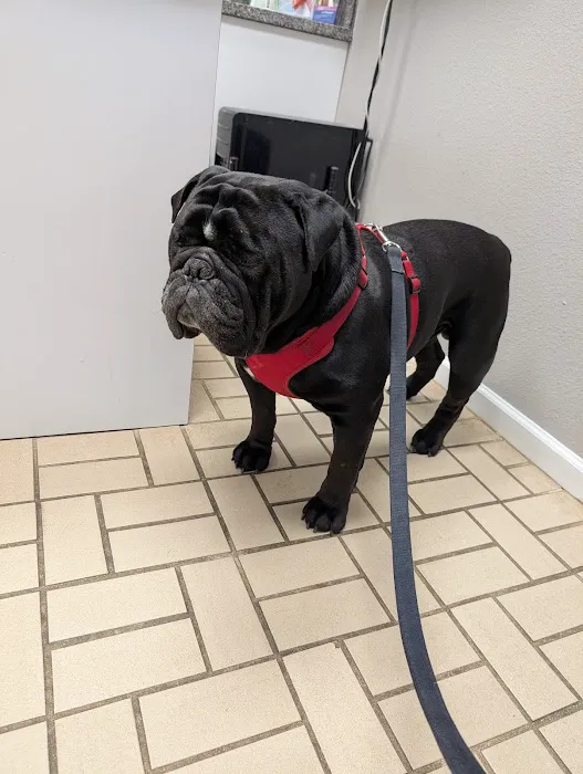 Tracy Animal Hospital 12