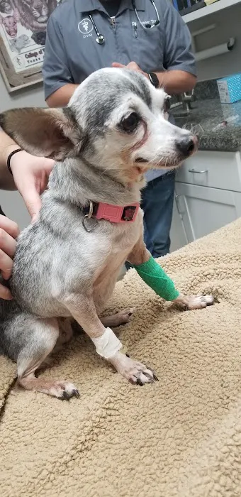 Tracy Animal Hospital 12
