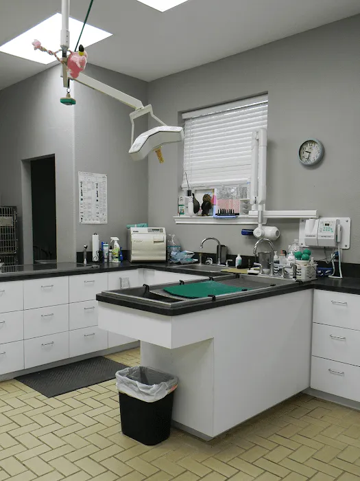 Tracy Animal Hospital 12