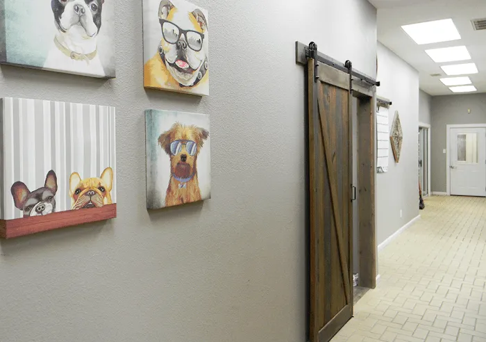 Tracy Animal Hospital 12