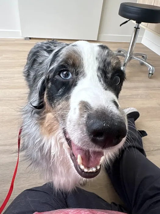 Petfolk Veterinary & Urgent Care - Vintage Park 12