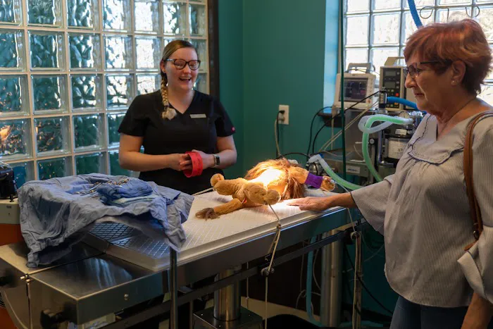 Cypress Veterinary Hospital 12