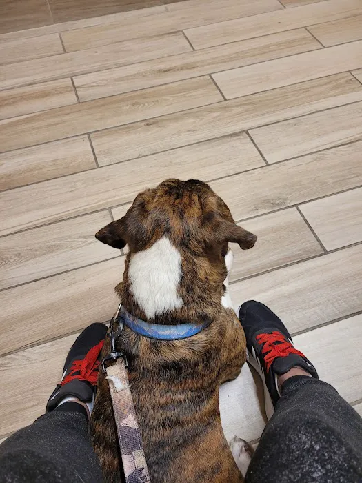 Cypress Veterinary Hospital 12