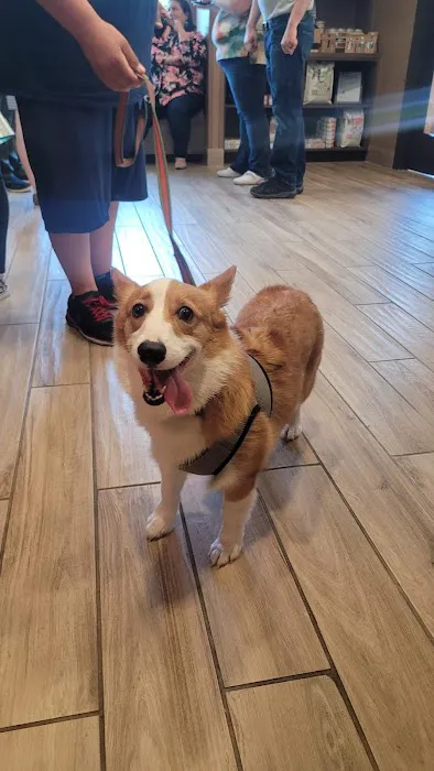 Cypress Veterinary Hospital 12