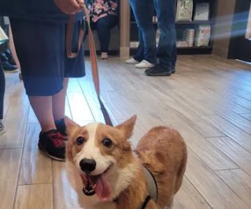 Cypress Veterinary Hospital