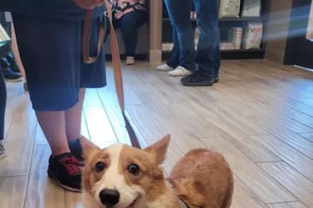 Cypress Veterinary Hospital