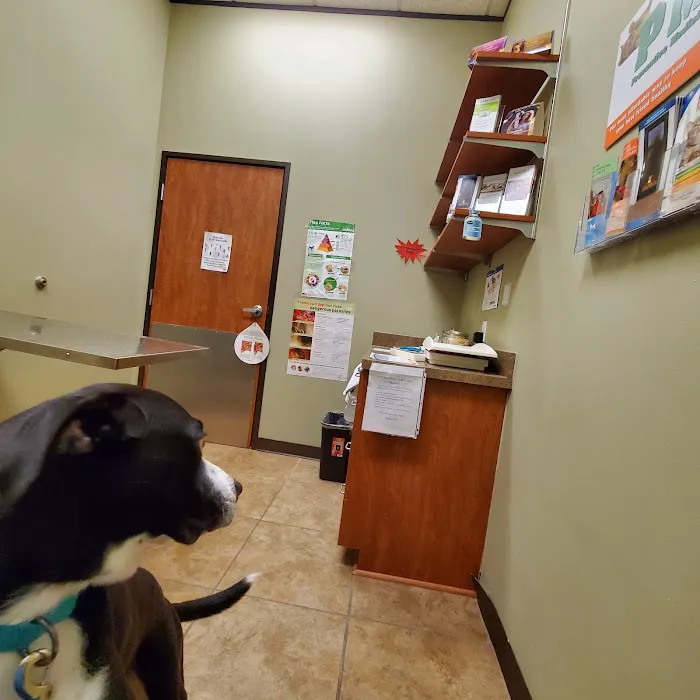 Best Care Animal Hospital 12