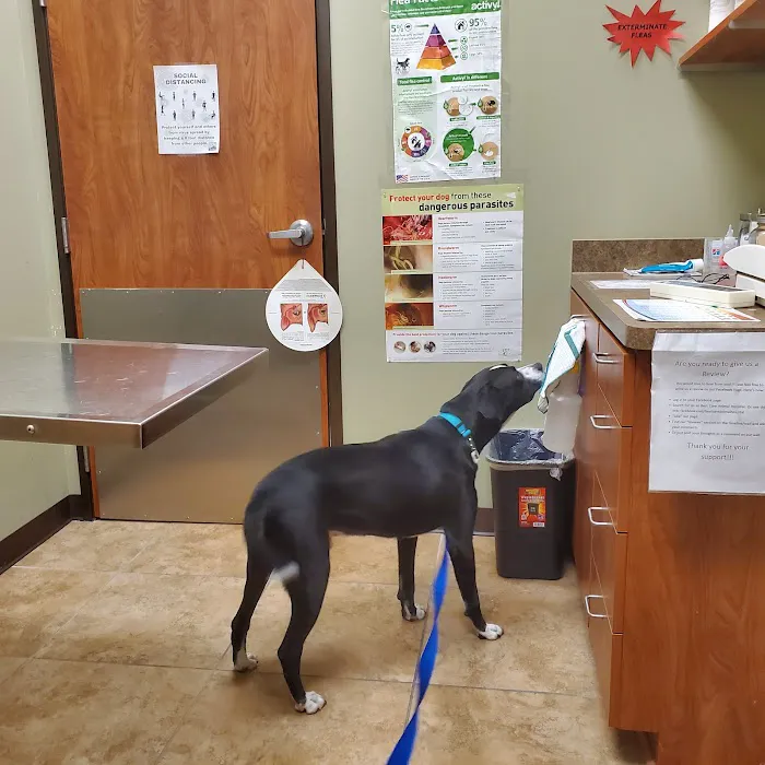 Best Care Animal Hospital 12