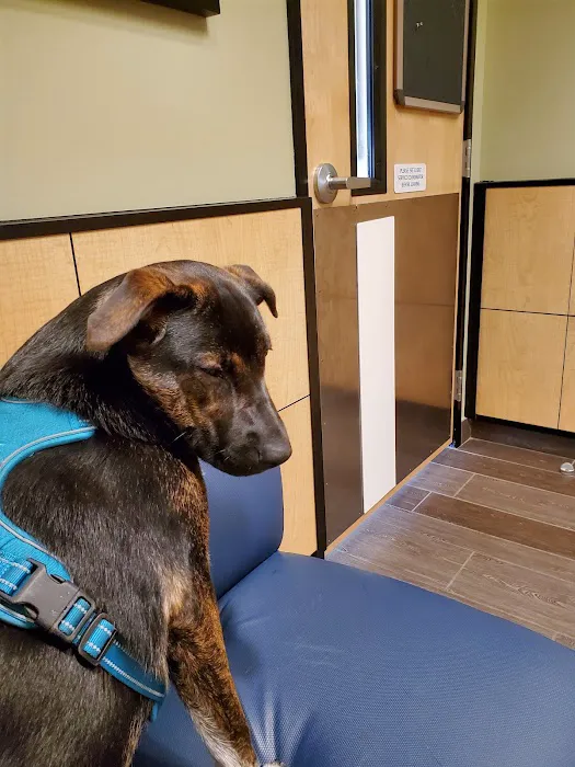 Banfield Pet Hospital 12