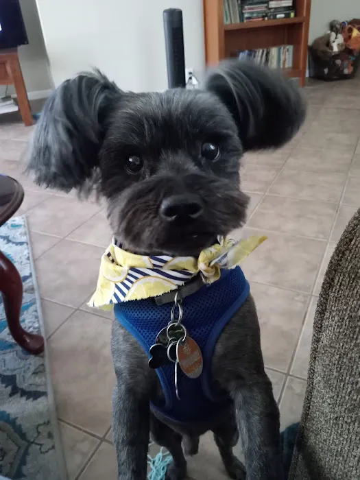 Banfield Pet Hospital 12