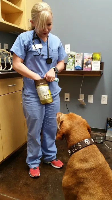 Cole Veterinary Hospital at Legends Ranch 12