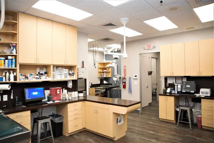 Cole Veterinary Hospital at Legends Ranch 12