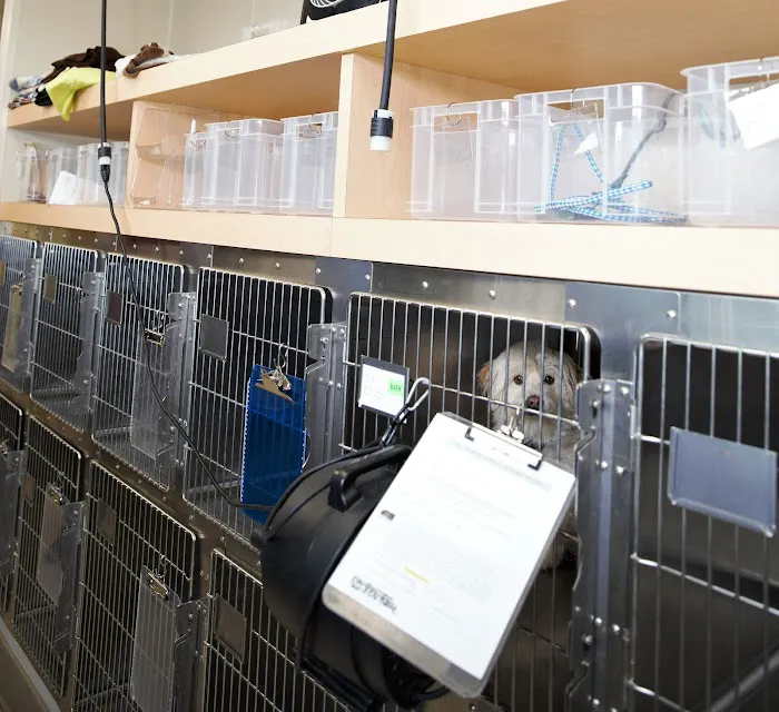 Cole Veterinary Hospital at Legends Ranch 12