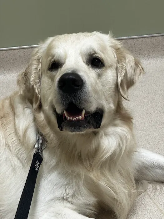 VCA Four Seasons Animal Hospital 12
