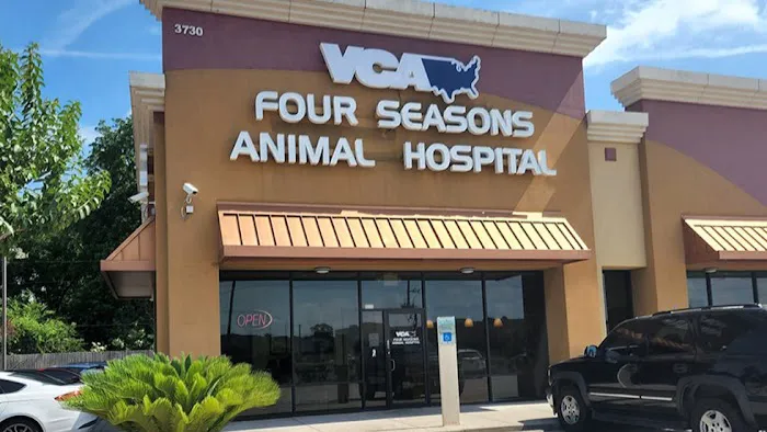 VCA Four Seasons Animal Hospital 12