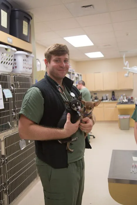 VCA Four Seasons Animal Hospital 12