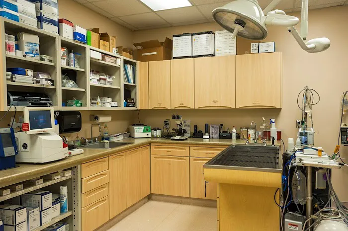 VCA Four Seasons Animal Hospital 12