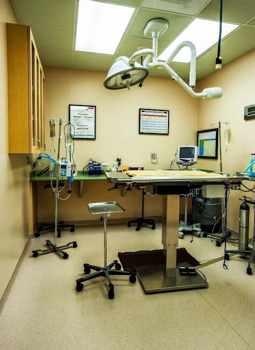 VCA Four Seasons Animal Hospital 12