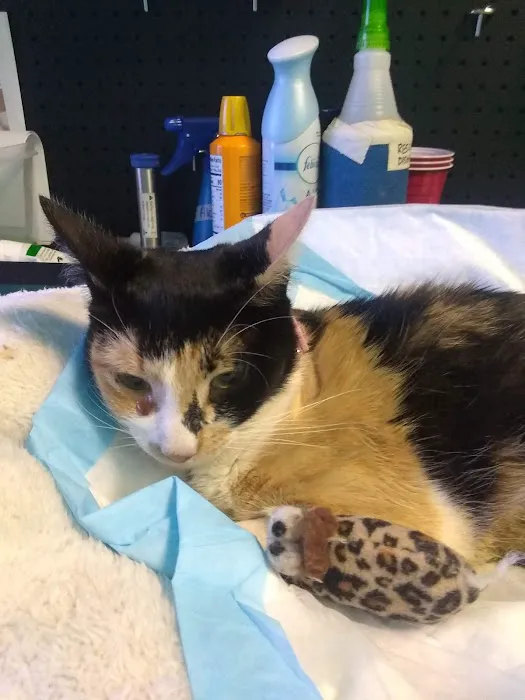 Rayford Animal Wellness Clinic 12