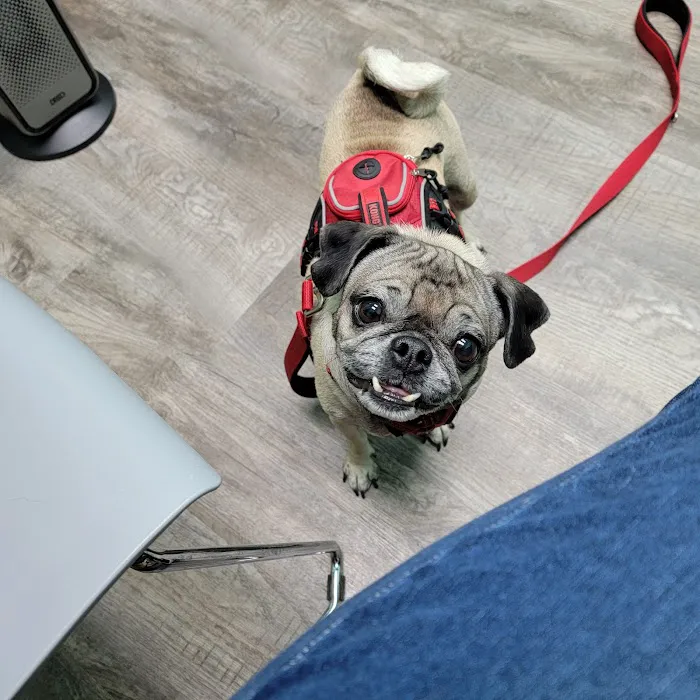 Rayford Animal Wellness Clinic 12