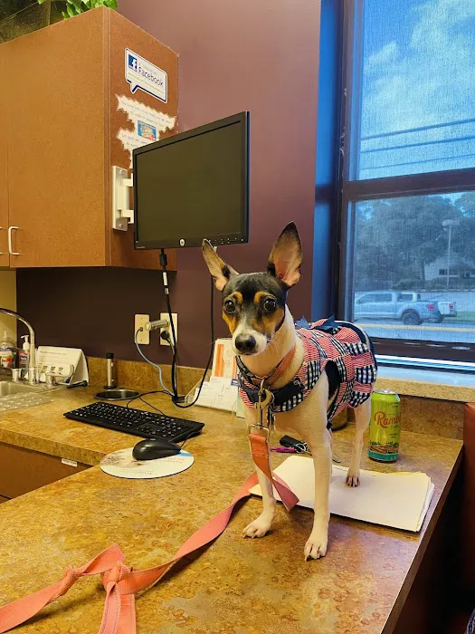 VCA Woodlands Animal Hospital 12