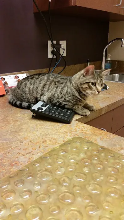 VCA Woodlands Animal Hospital 12