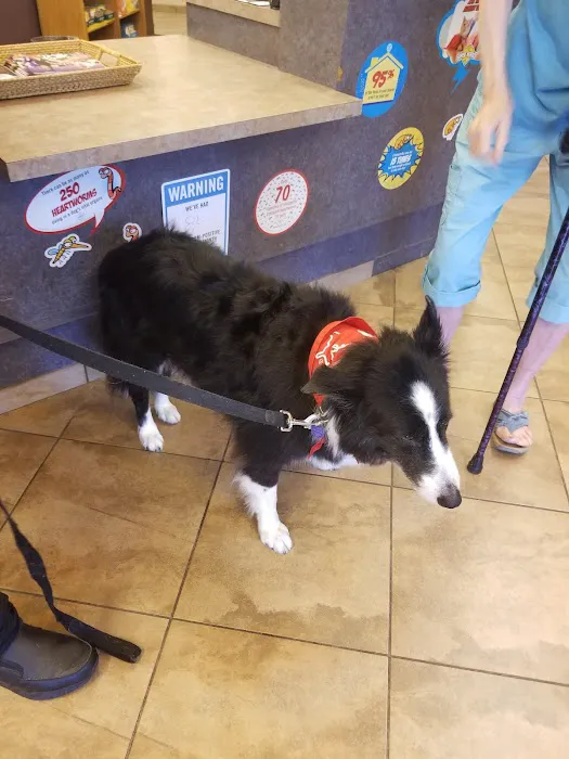 VCA Woodlands Animal Hospital 12