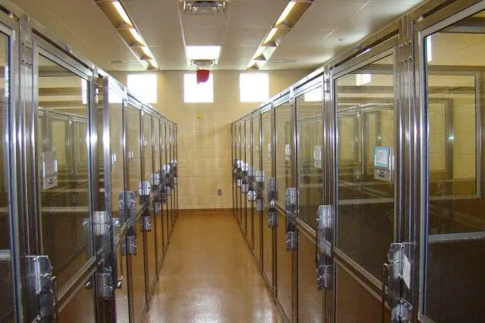 VCA Woodlands Animal Hospital 12