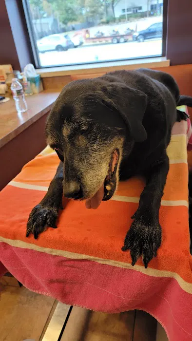 VCA Woodlands Animal Hospital 12