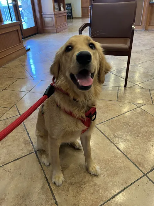 True Companion Animal Hospital 12