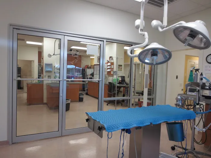 True Companion Animal Hospital 12