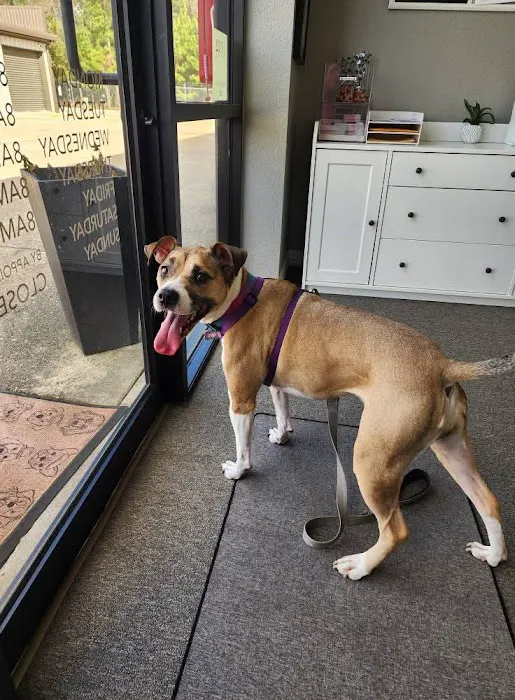 True Companion Animal Hospital 12