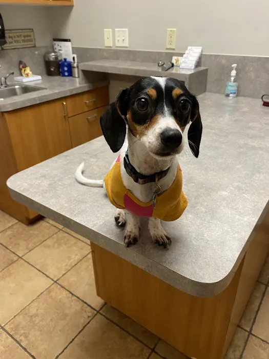 True Companion Animal Hospital 12