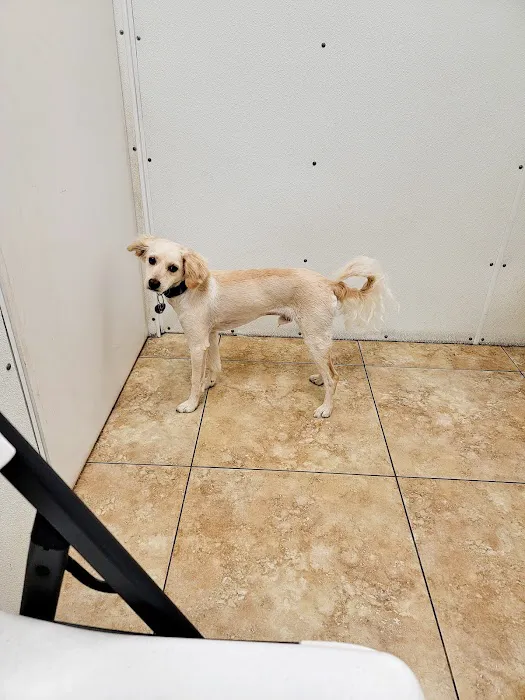 Texas Litter Control 12