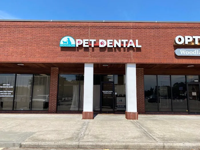 Houston Pet Dental 12
