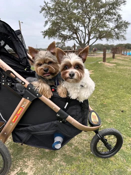 Houston Pet Dental 12