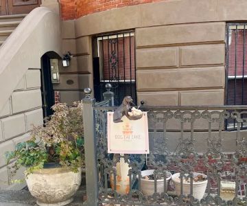 Dog Eat Cake Pet Bakery| E-Commerce