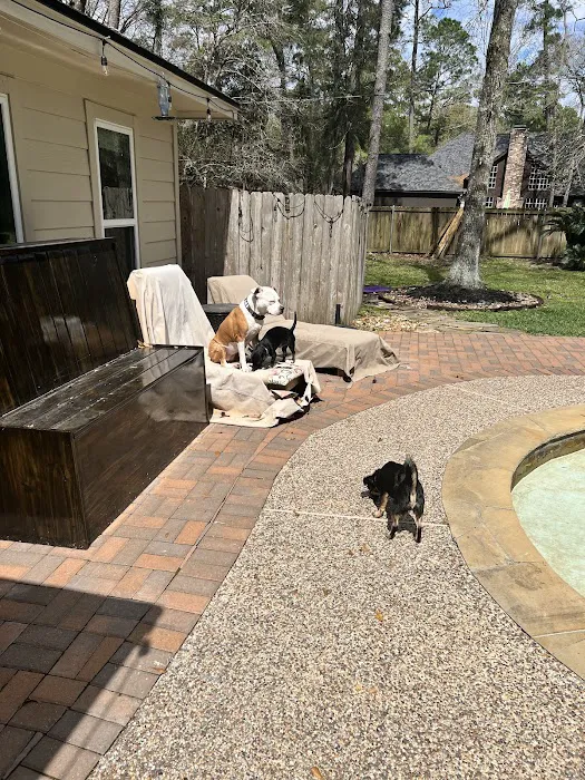 Gosling Road Veterinary Clinic 12