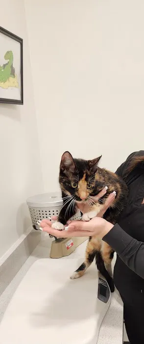 Grogan's Mill Pet Clinic 12