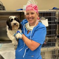 H-Town Veterinary Specialists (Woodlands) ico