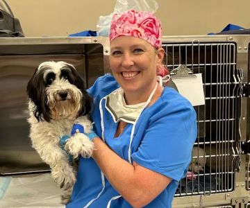 H-Town Veterinary Specialists (Woodlands)
