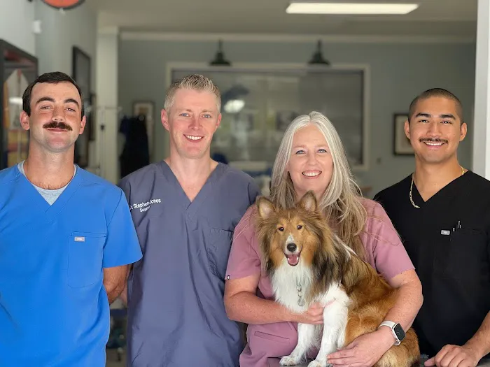 H-Town Veterinary Specialists (Woodlands) 12