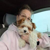 Vetco Vaccination Clinic ico