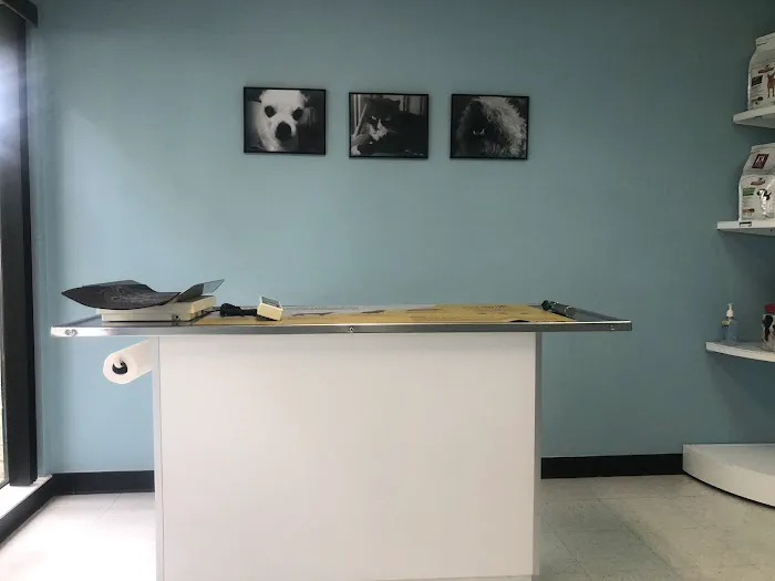Greenway Animal Clinic 7